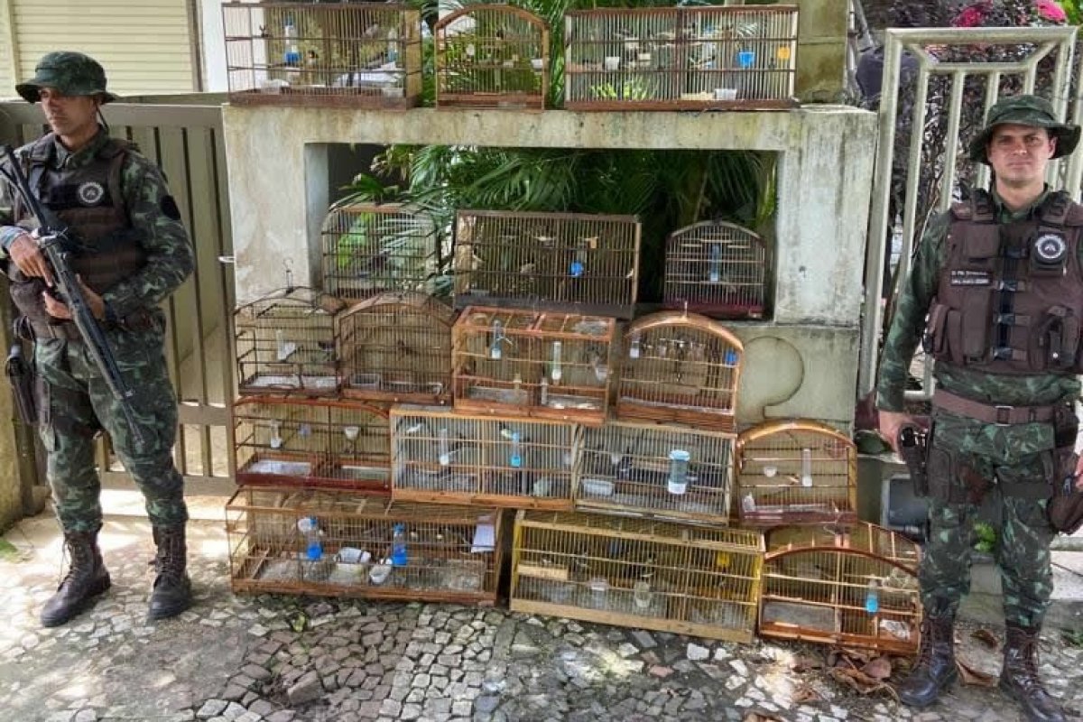 Suspeitos de maus tratos a animais são presos em Ilhéus