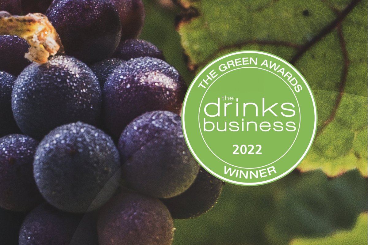 Concha y Toro e Bonterra Organic Estates terminam ano com prêmios no The Drinks Business Green Awards 2022!