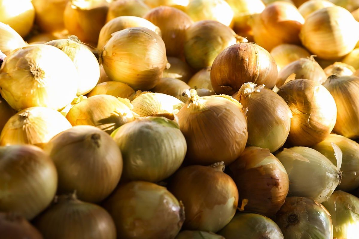 IPCA: cebola foi a grande "vilã" dos preços em 2022; confira