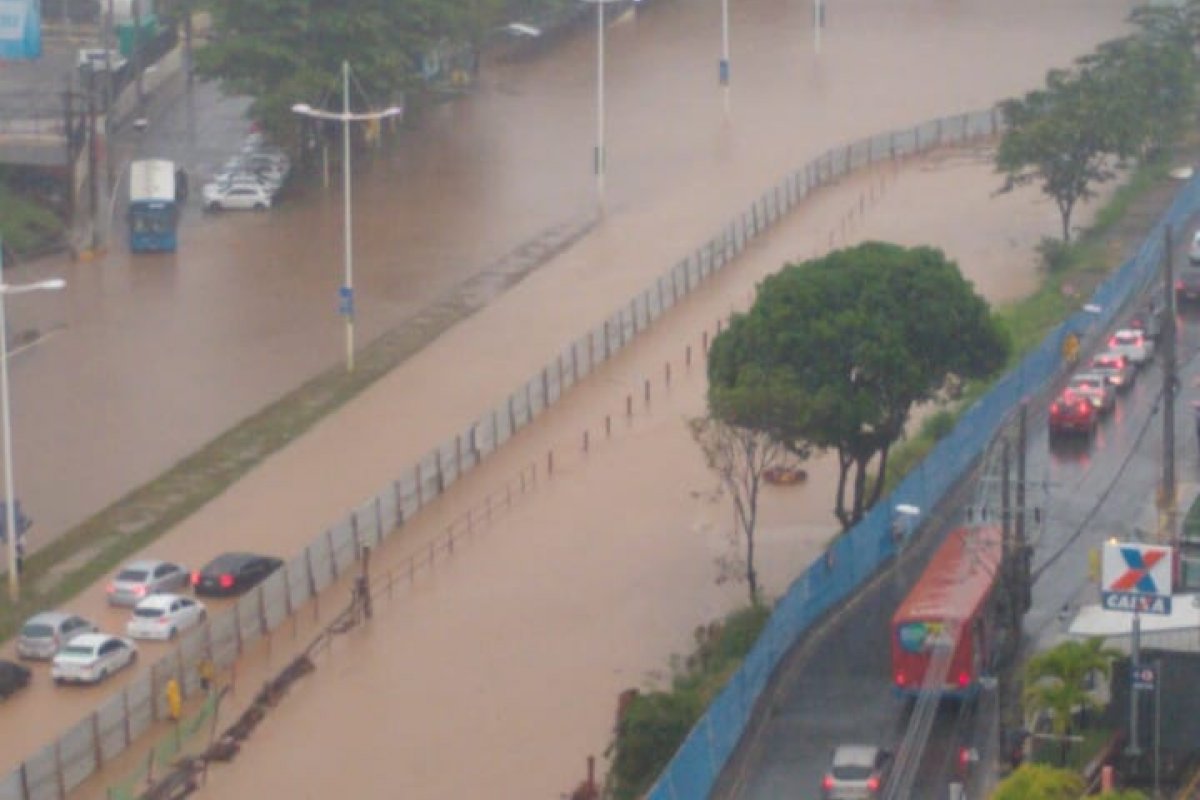 Salvador é de papel