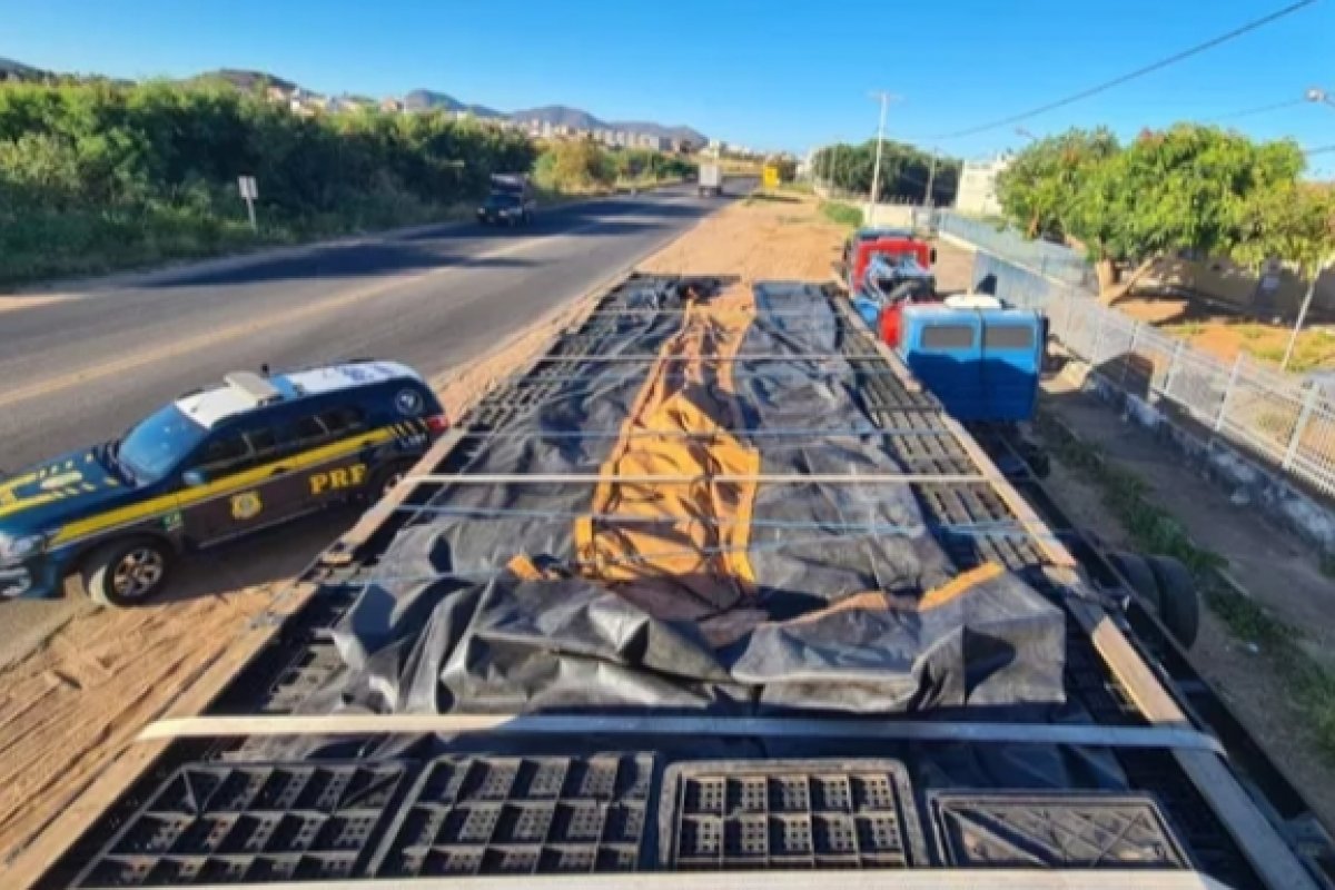 Número de apreensões de cigarros contrabandeados bate recorde nas rodovias federais da Bahia