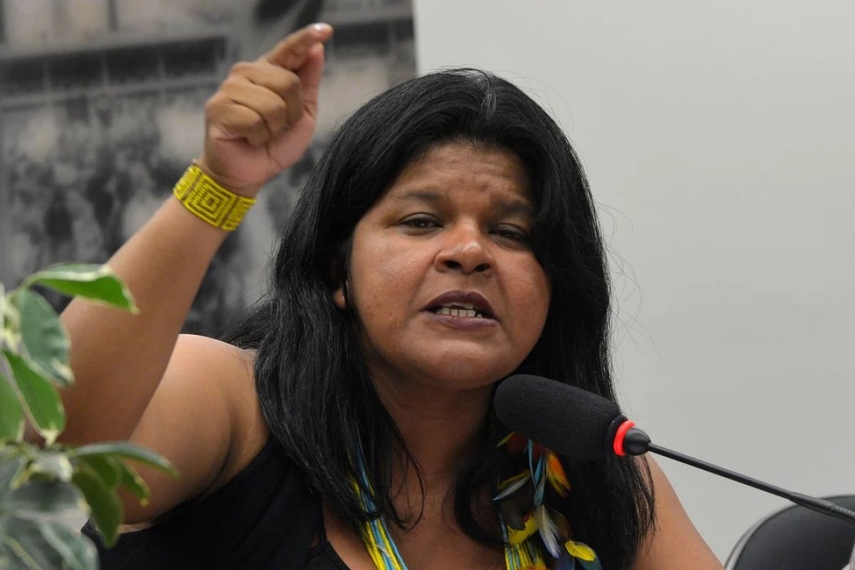 Ministra dos Povos Indígenas diz que vai acompanhar caso de pataxós mortos na Bahia