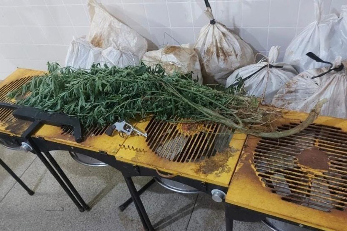 Rondesp Chapada apreende 12kg de maconha em Barra do Mendes (BA)