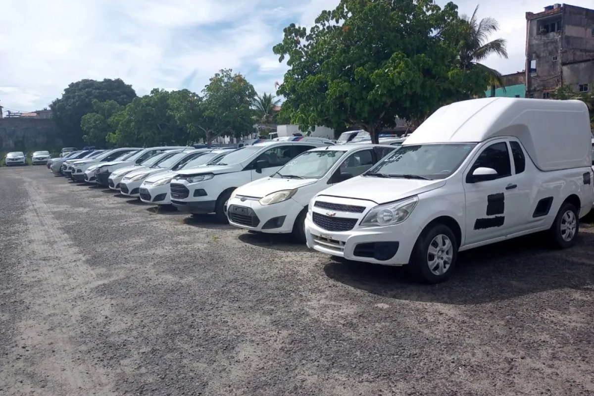 Visitação de leilão do governo da Bahia é aberta em Salvador