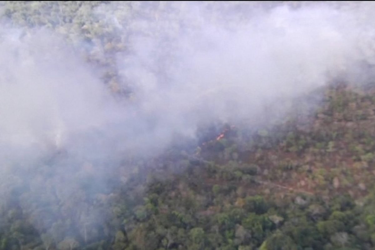 Justiça mantém prisão de brigadistas suspeitos de incêndio na APA Alter do Chão