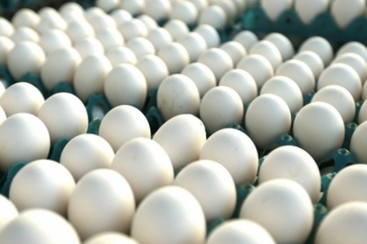 Surto de gripe aviária faz com que ovo se torne alimento premium no exterior