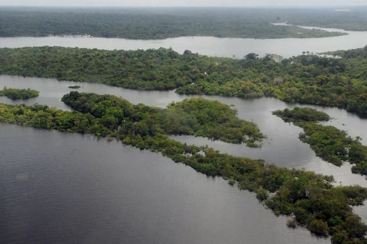 Amazônia: terras federais respondem por 80% do desmate em 2022