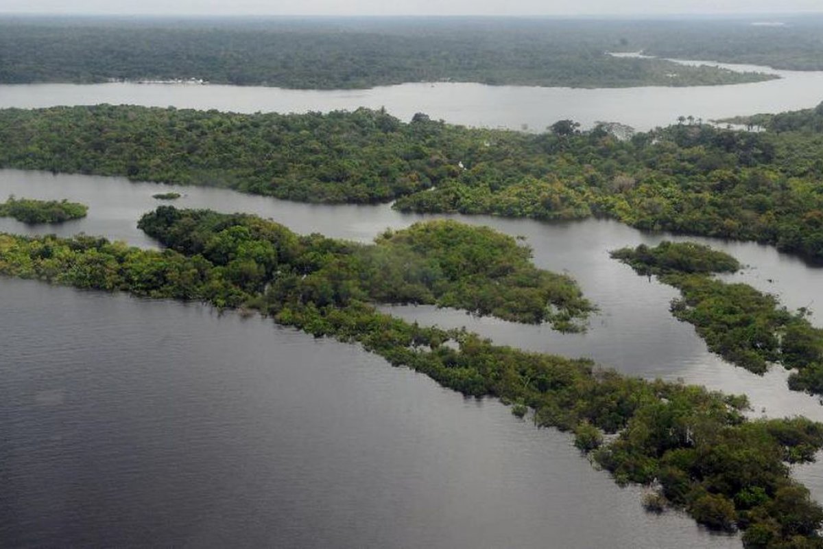 Desmatamento na Amazônia tem queda em janeiro, aponta Inpe