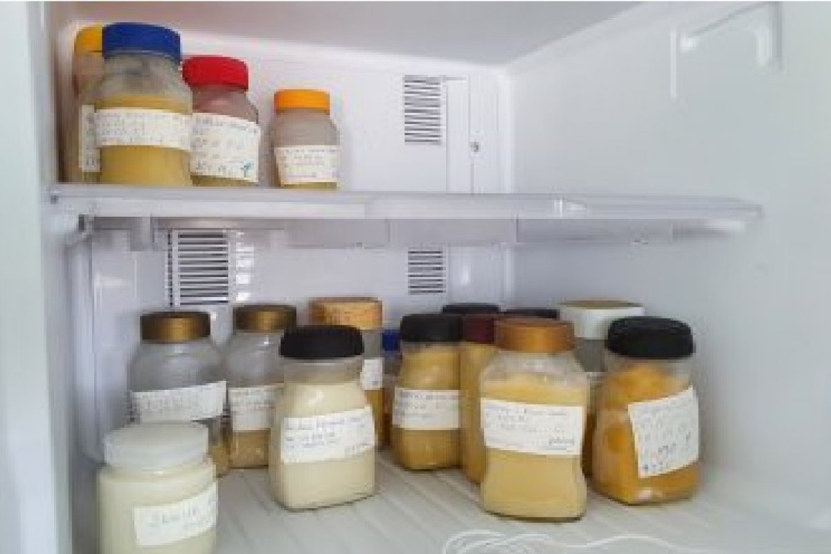 Com queda nas doações, Banco de Leite do HGRS está com estoque crítico