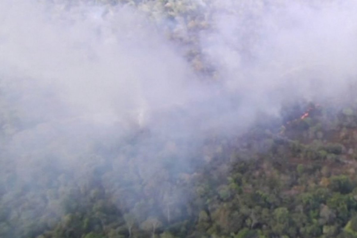 Brigadistas investigados por incêndios florestais não são indiciados pelo MPF