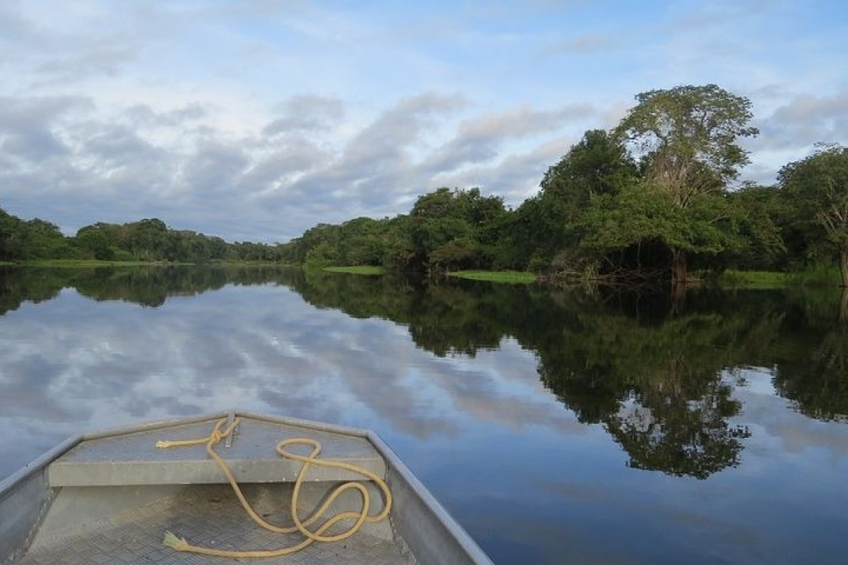 Partido Verde pede ao STF suspensão de lei que pode facilitar garimpo ilegal na Amazônia