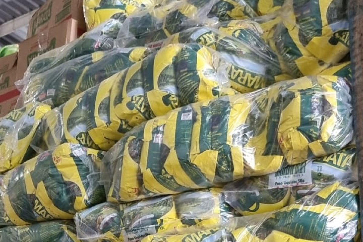 Carga de 14 toneladas de café roubada em Rafael Jambeiro (BA) é apreendida pela polícia