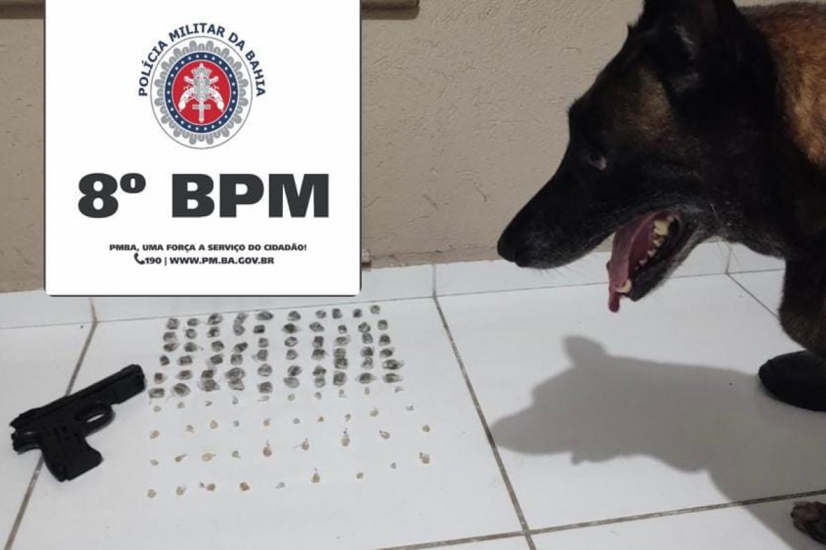 Cão farejador da PM descobre drogas em carrinho de bebidas na praia em Porto Seguro