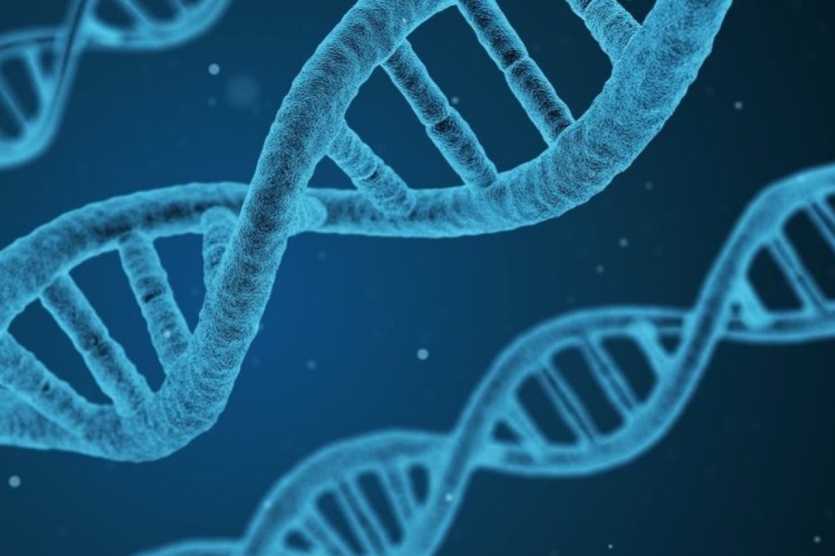 Síndrome Vexas: pesquisadores afirmam que condição é mais comum do que se imagina