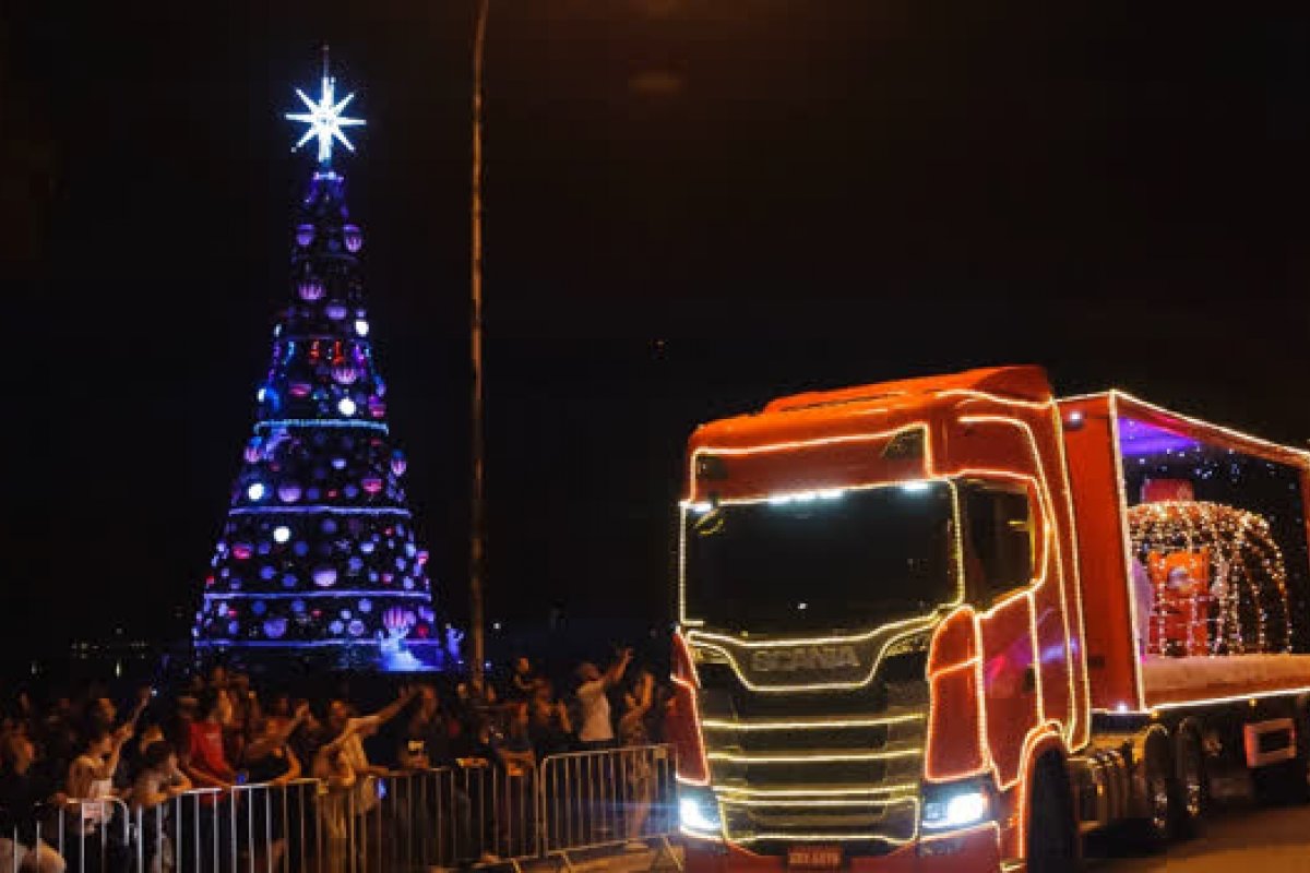 Tradicional árvore de Natal do Ibirapuera será inaugurada sem lâmpadas