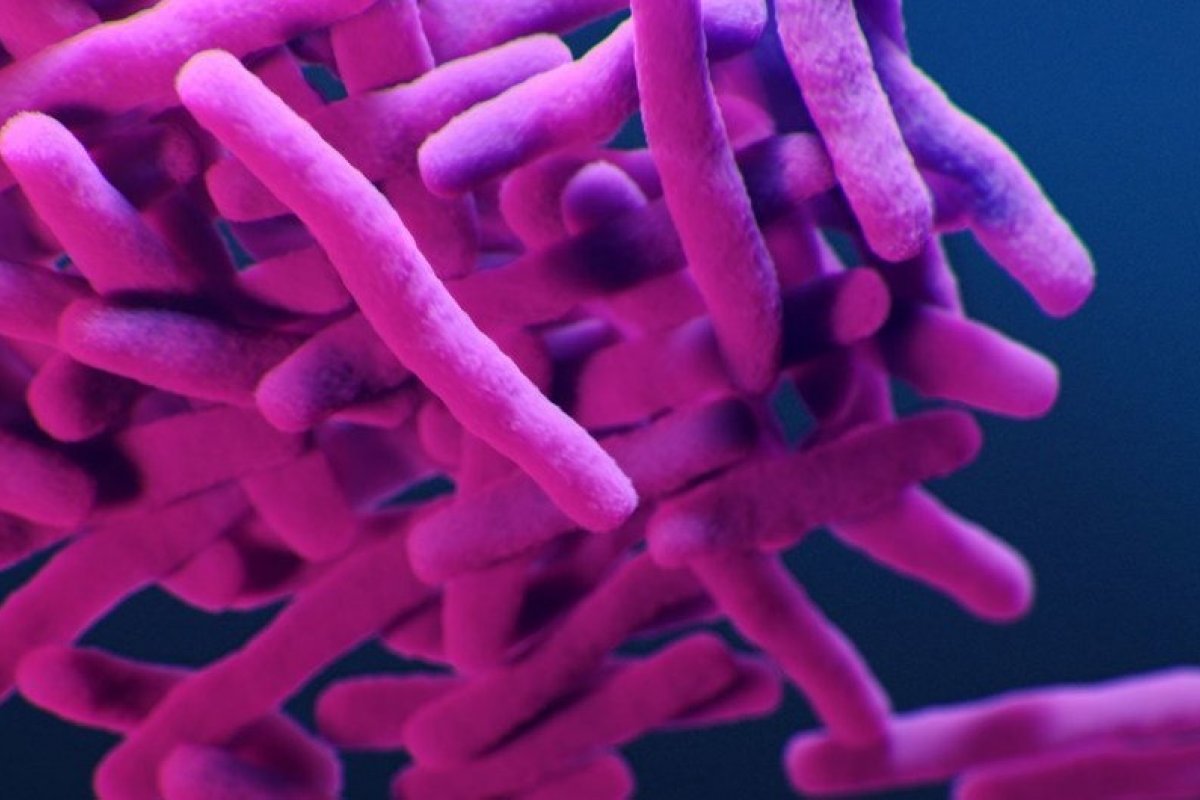 Mortes por resistência antimicrobiana podem subir em 10 milhões até 2050, alerta ONU