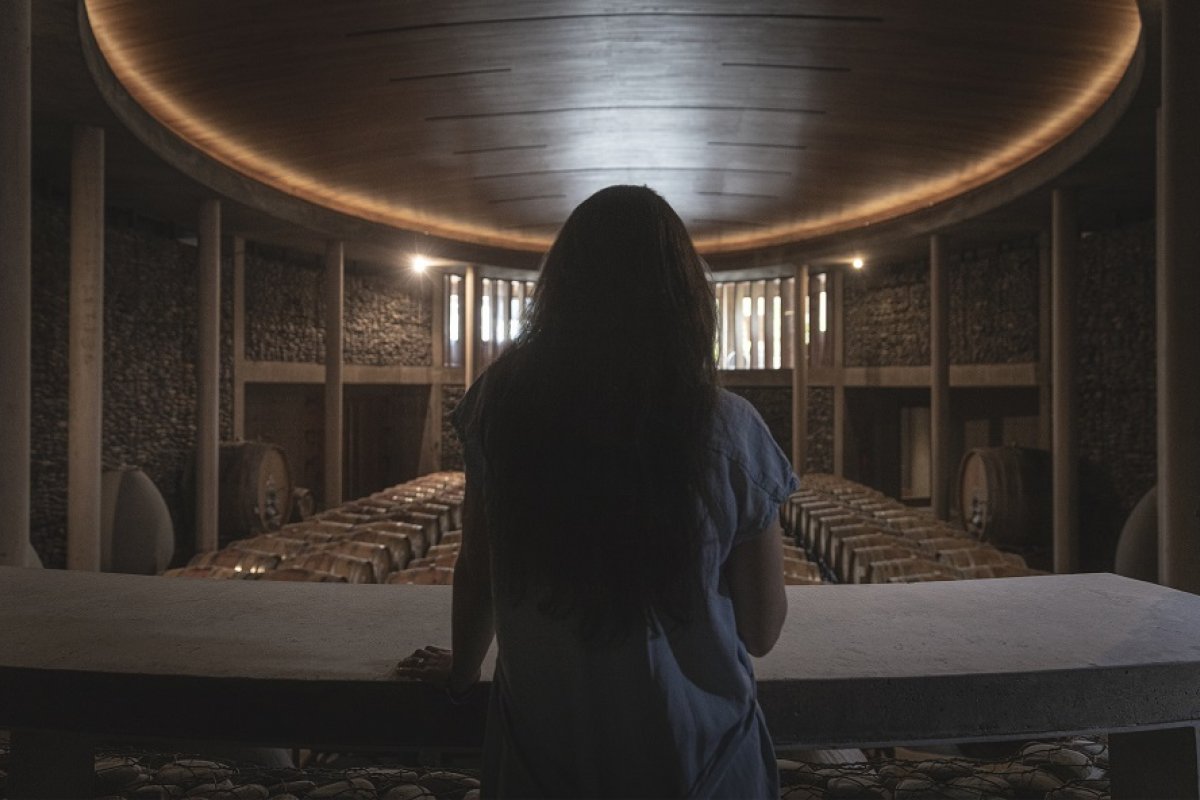 Turismo no Chile: Vinícola Matetic inicia colheita de uvas em fevereiro!