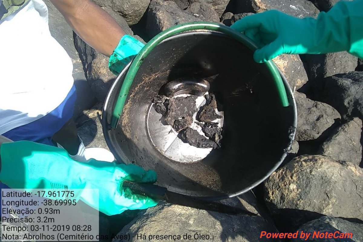 Amostras de peixes apresentam níveis de contaminação por óleo