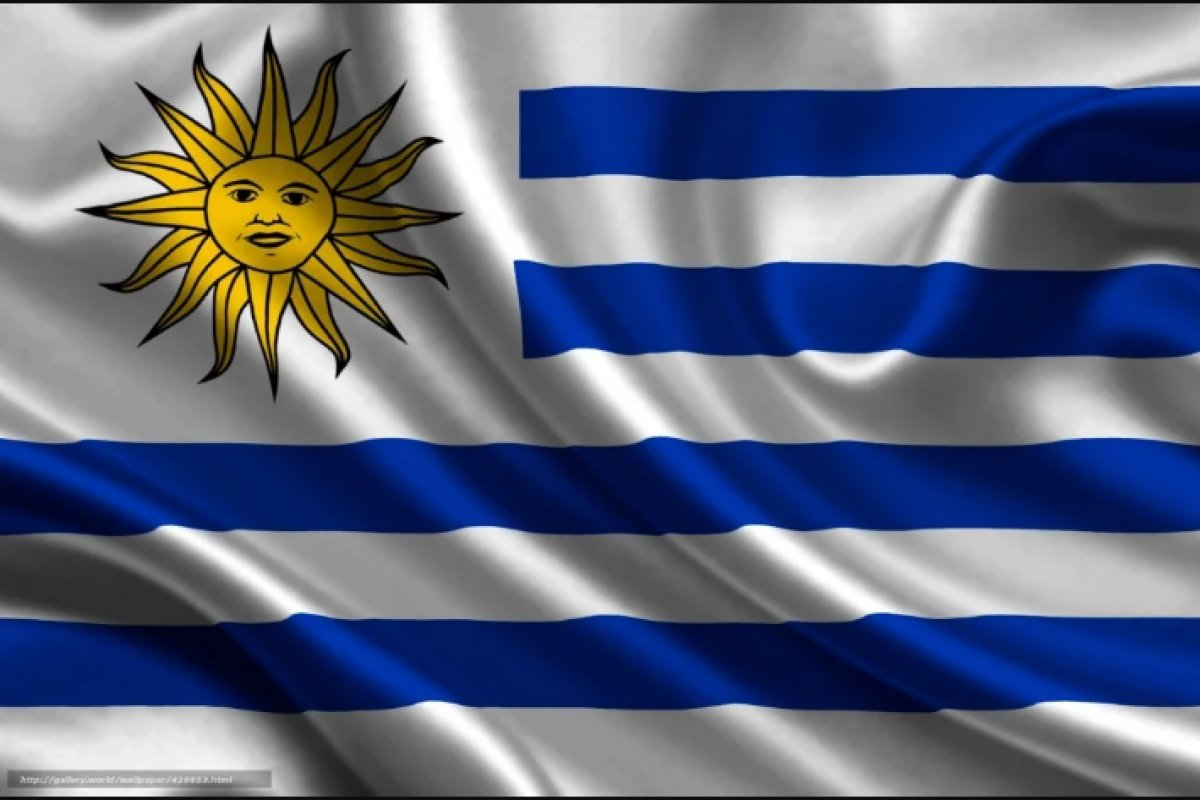 Uruguai confirma casos de gripe aviária no país
