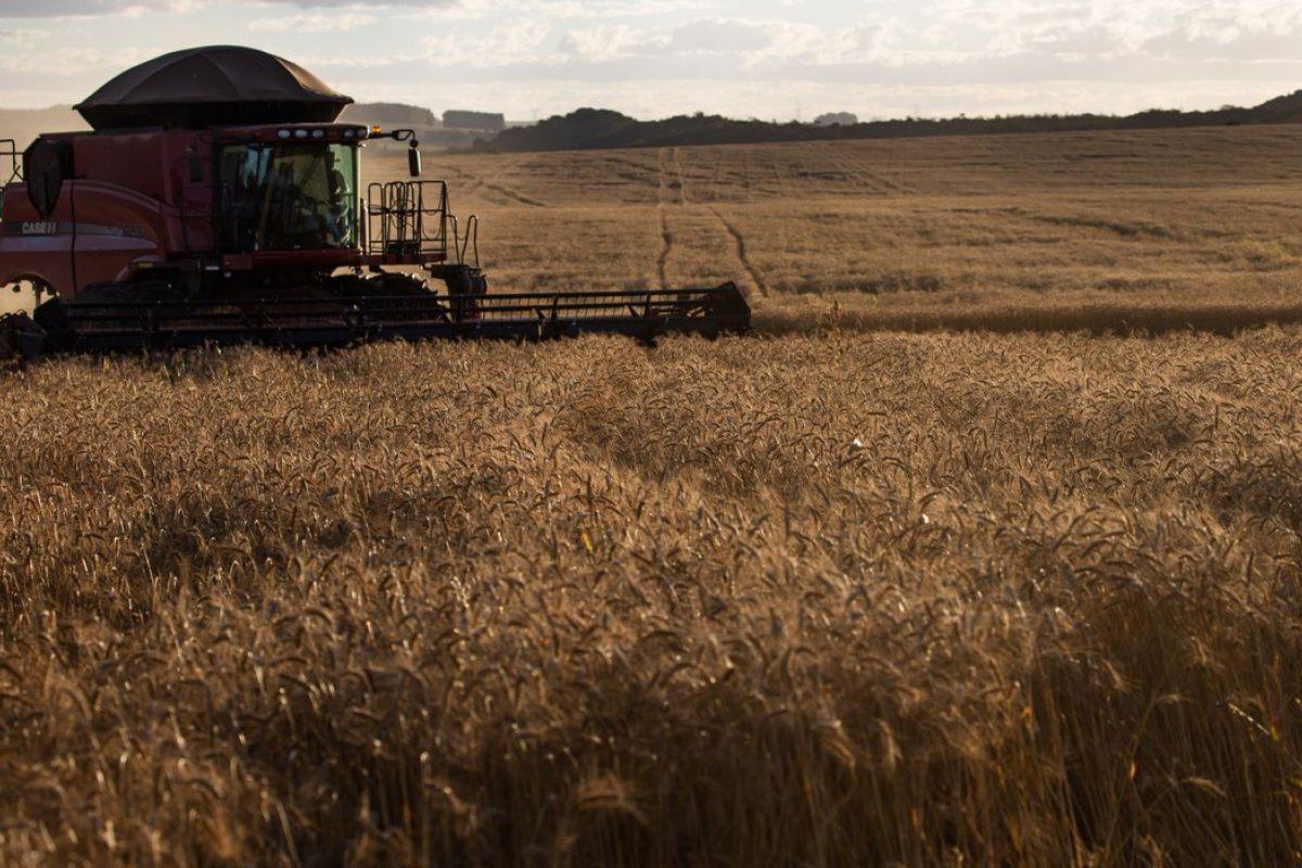 Agronegócio salta em 20 anos e hoje equivale ao PIB da Argentina