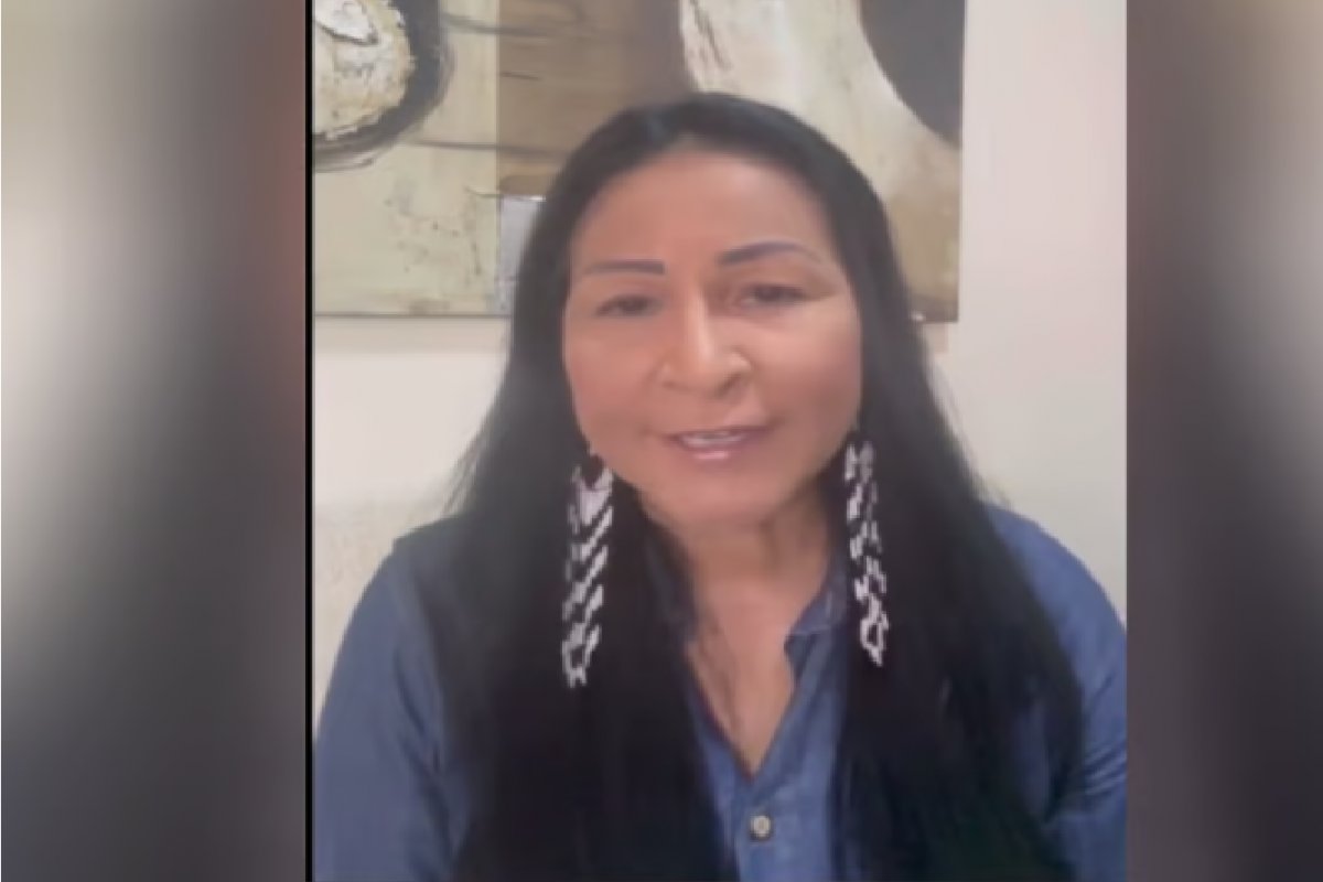 Deputada afirma que regulação das redes defendida por Lula é "nítida censura"