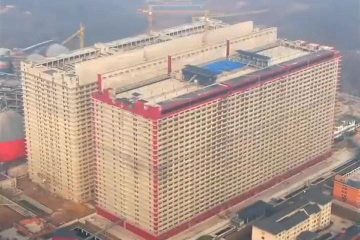 Vídeo: China constrói prédio de 26 andares para abater um milhão de porcos por ano
