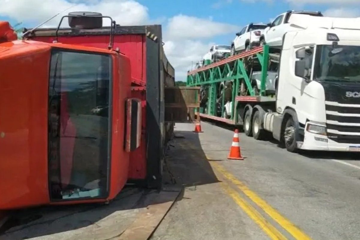 Carreta que transportava porcos tomba no sudoeste da Bahia e animais são saqueados