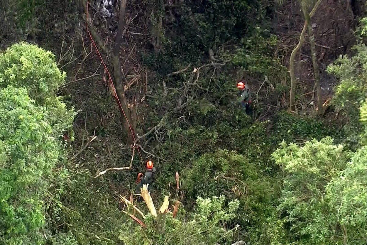 Avião cai na Serra da Cantareira em SP