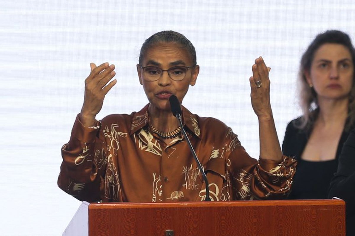 'Ação criminosa', diz Marina Silva após alerta de desmatamento bater recorde em fevereiro