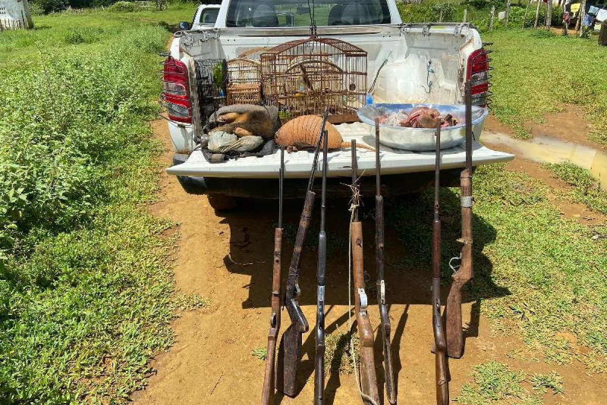 Polícia ambiental apreende uma tonelada de carvão vegetal e animais abatidos em duas cidades da Bahia