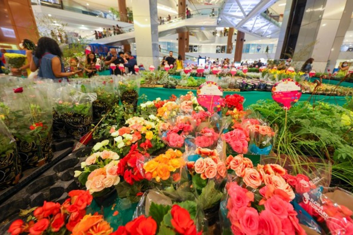 Salvador: Feira de Flores acontece na praça central do Shopping Bela Vista