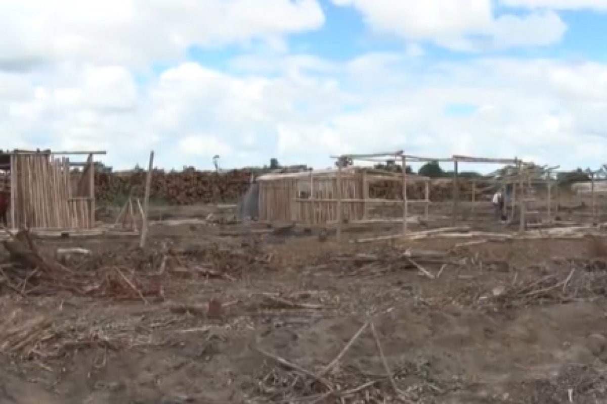 "Nao vamos desocupar a area sem acordo" diz líder do MST sobre terras invadidas em fazenda de celulose