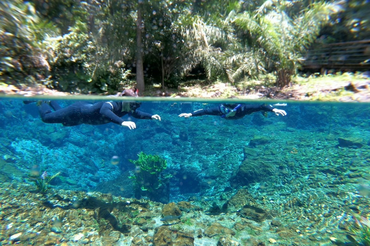 Bonito: proteção ambiental na Nascente Azul garante águas cristalinas em períodos de chuva!