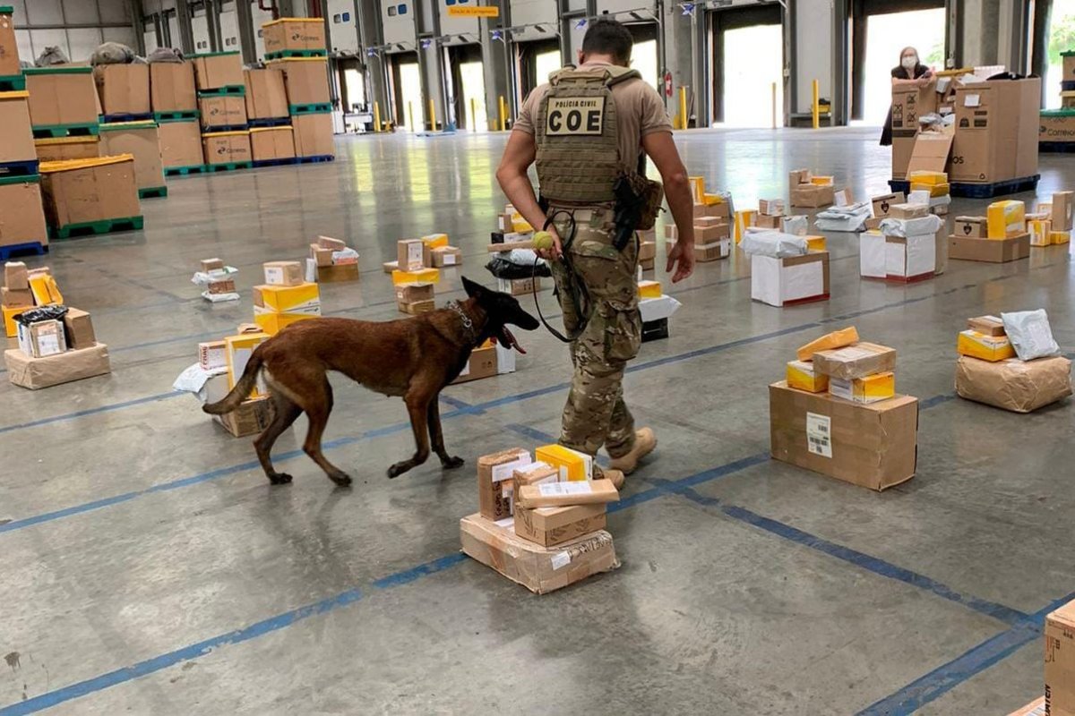Drogas avaliadas em R$ 1 milhão são apreendidas em mercadorias enviadas por Correios