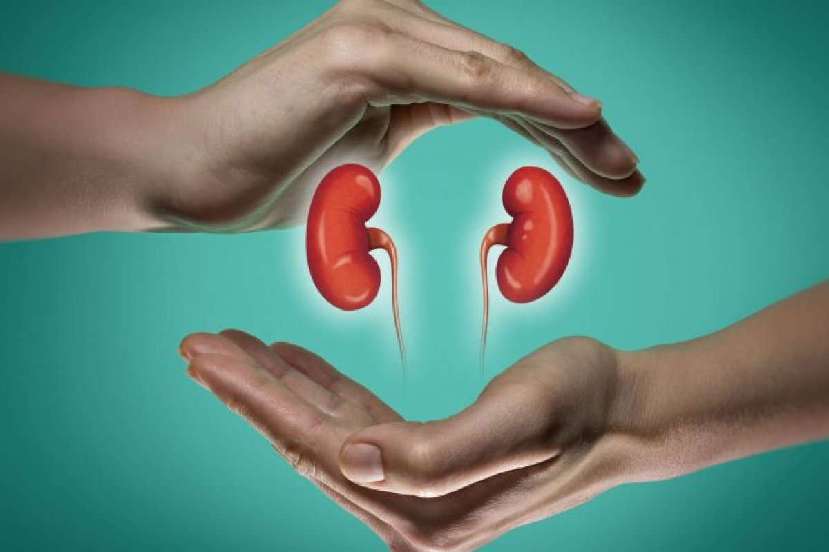 Ministério da Saúde estima que mais de 10 milhões de brasileiros sofrem com doença renal crônica