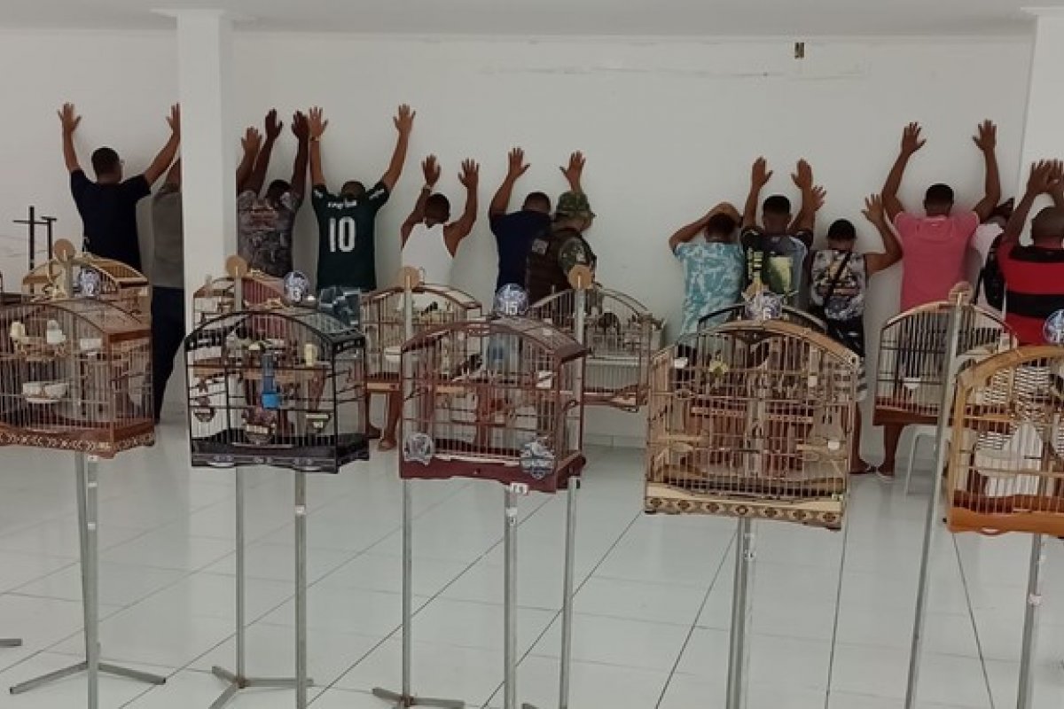 Polícia flagra mais de 30 pessoas com aves em Salvador