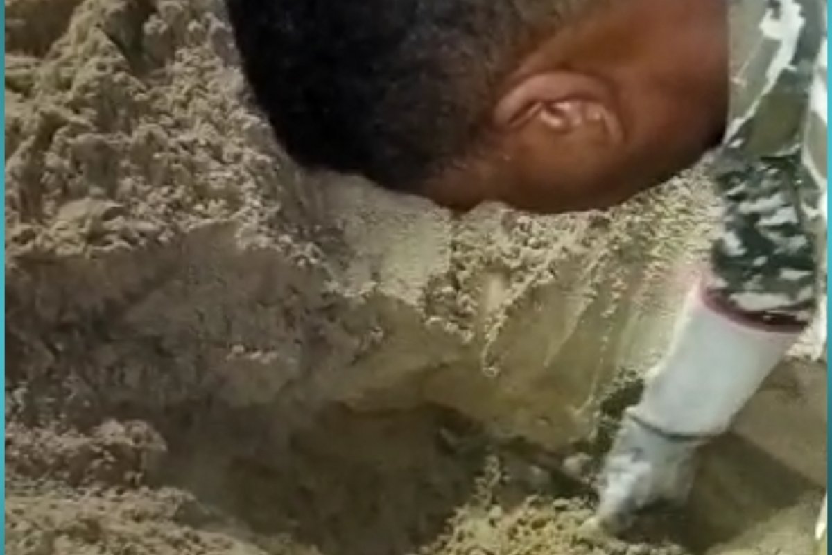 Guarda Municipal resgata 150 ovos de tartaruga em praia da Pituba