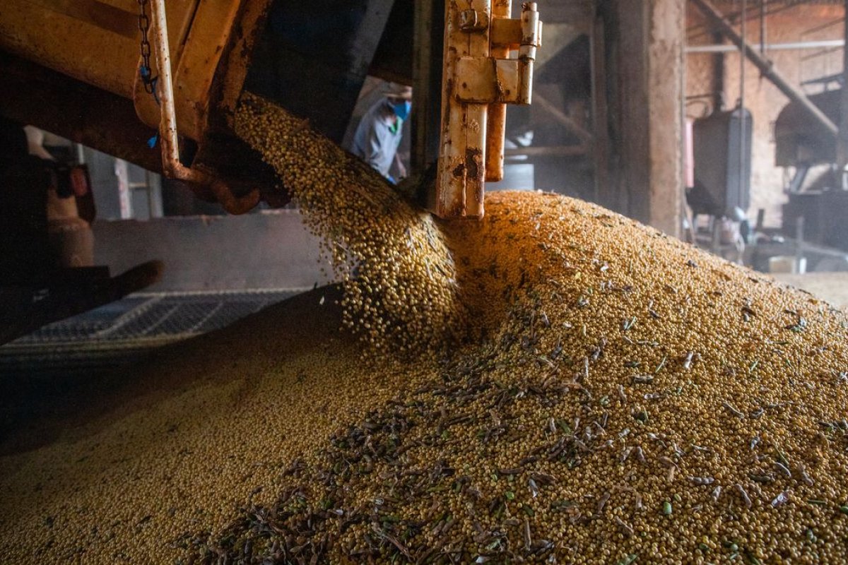 Mato Grosso ultrapassa Argentina e é 3° maior produtor de soja do mundo