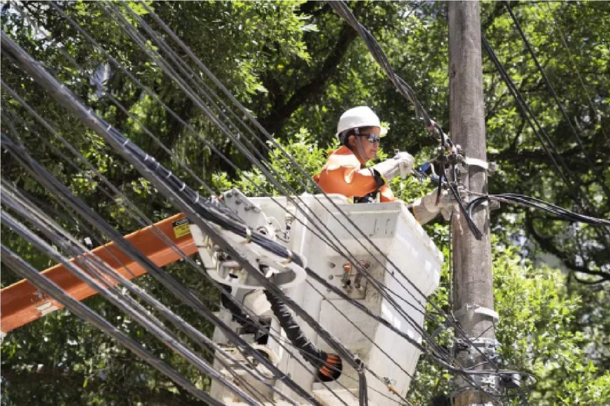 Coelba flagra furtos de energia em academia e empresa de reciclagem na Bahia