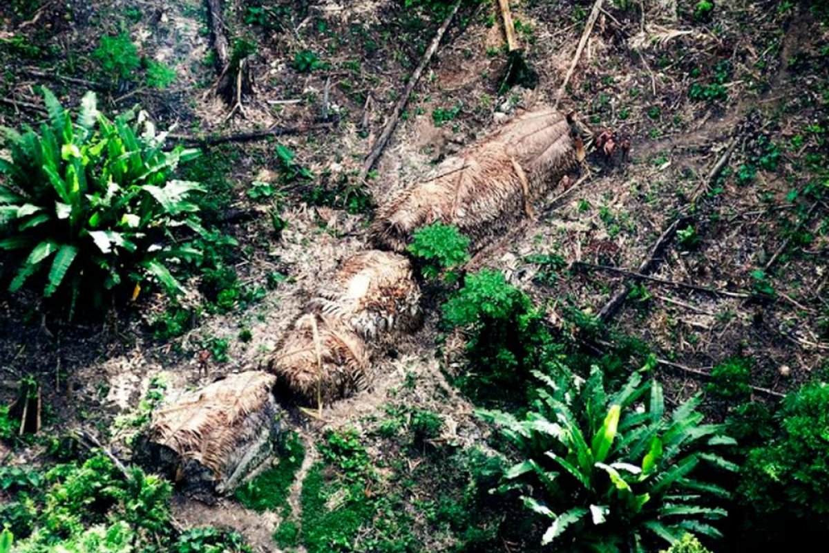 Força Nacional vai apoiar Funai no Amazonas