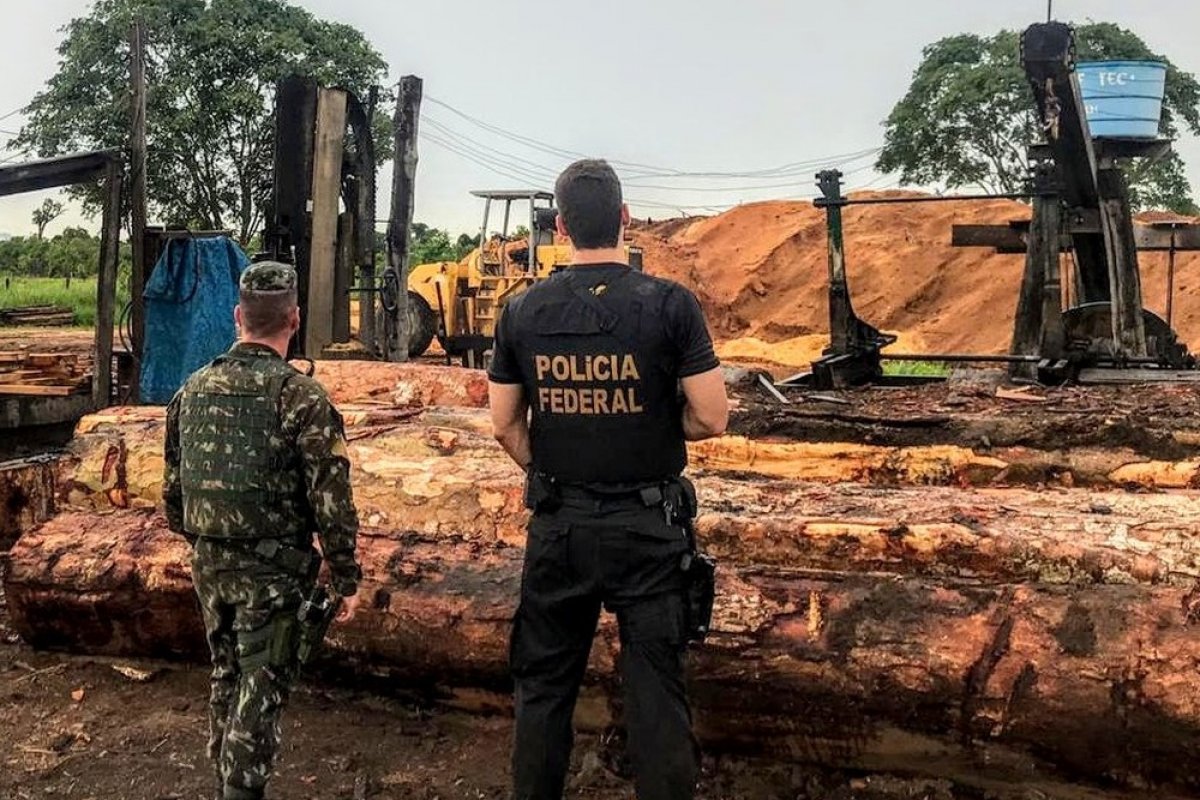 PF apura extração ilegal de madeira em terra indígena