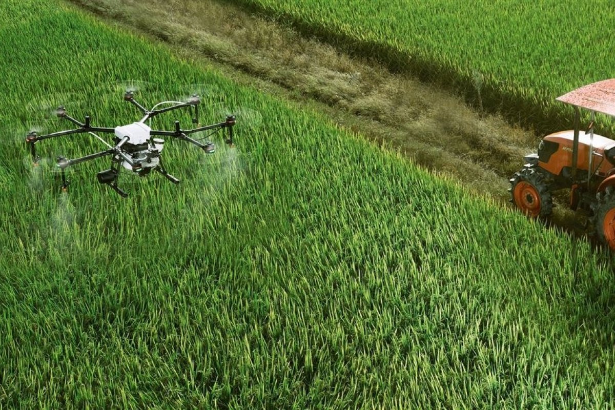 Com previsão de safra recorde, agronegócio deve puxar crescimento da economia em 2023