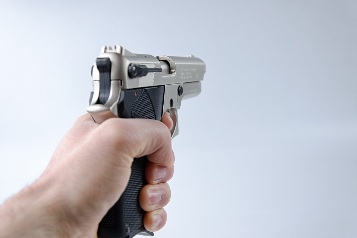 Dino afirma que 1 a cada 5 armas não foram cadastradas no Sistema Nacional de Armas