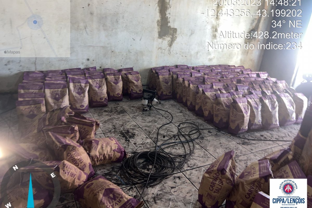 Cerca de 12 toneladas de carvão ilegal são apreendidas em Paratinga (BA)