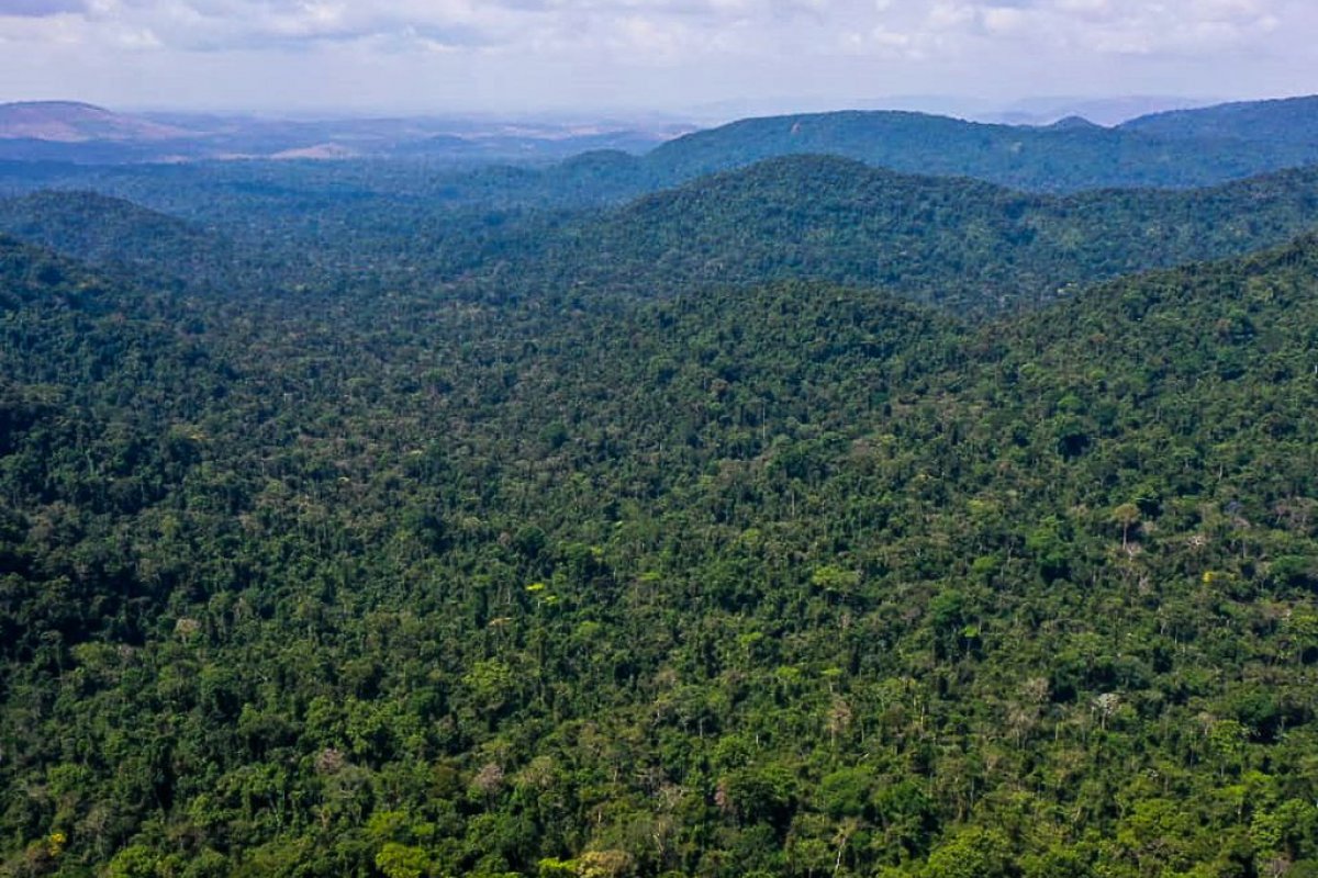 Relatório aponta que o Brasil emitiu 2,4 bilhões de toneladas de gases de efeito estufa em 2021