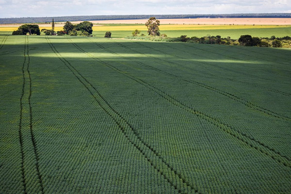 Ipea mantém previsão de aumento do PIB agropecuário em 11,6% em 2023