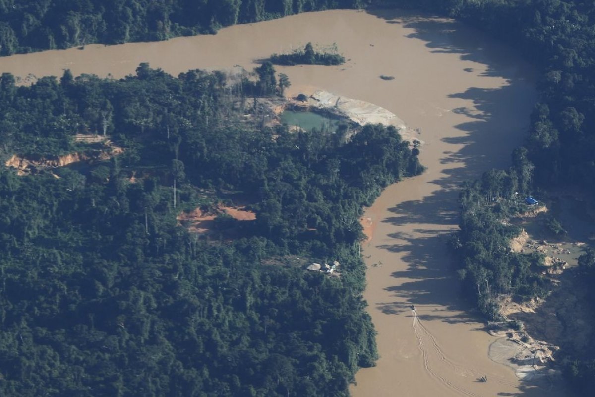 IBGE identifica mais 31 mil pessoas vivendo na Terra Yanomami