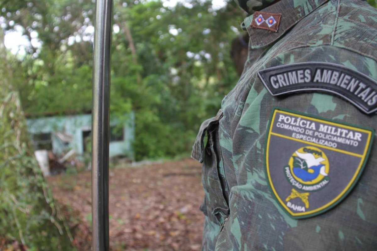 220 animais silvestres foram resgatados e 39 pessoas conduzidas pela Coppa em 60 dias na Bahia