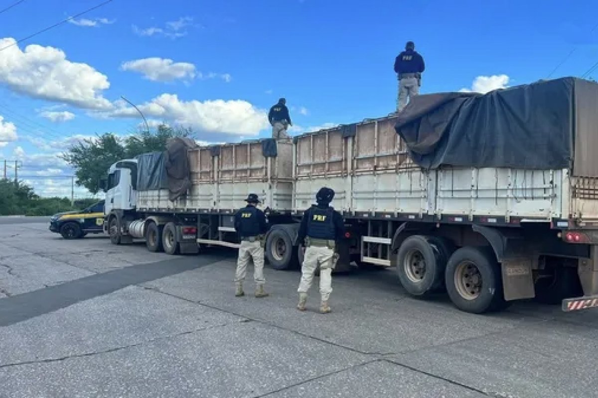 Mais de 300 mil maços de cigarro são apreendidos pela PRF em Juazeiro