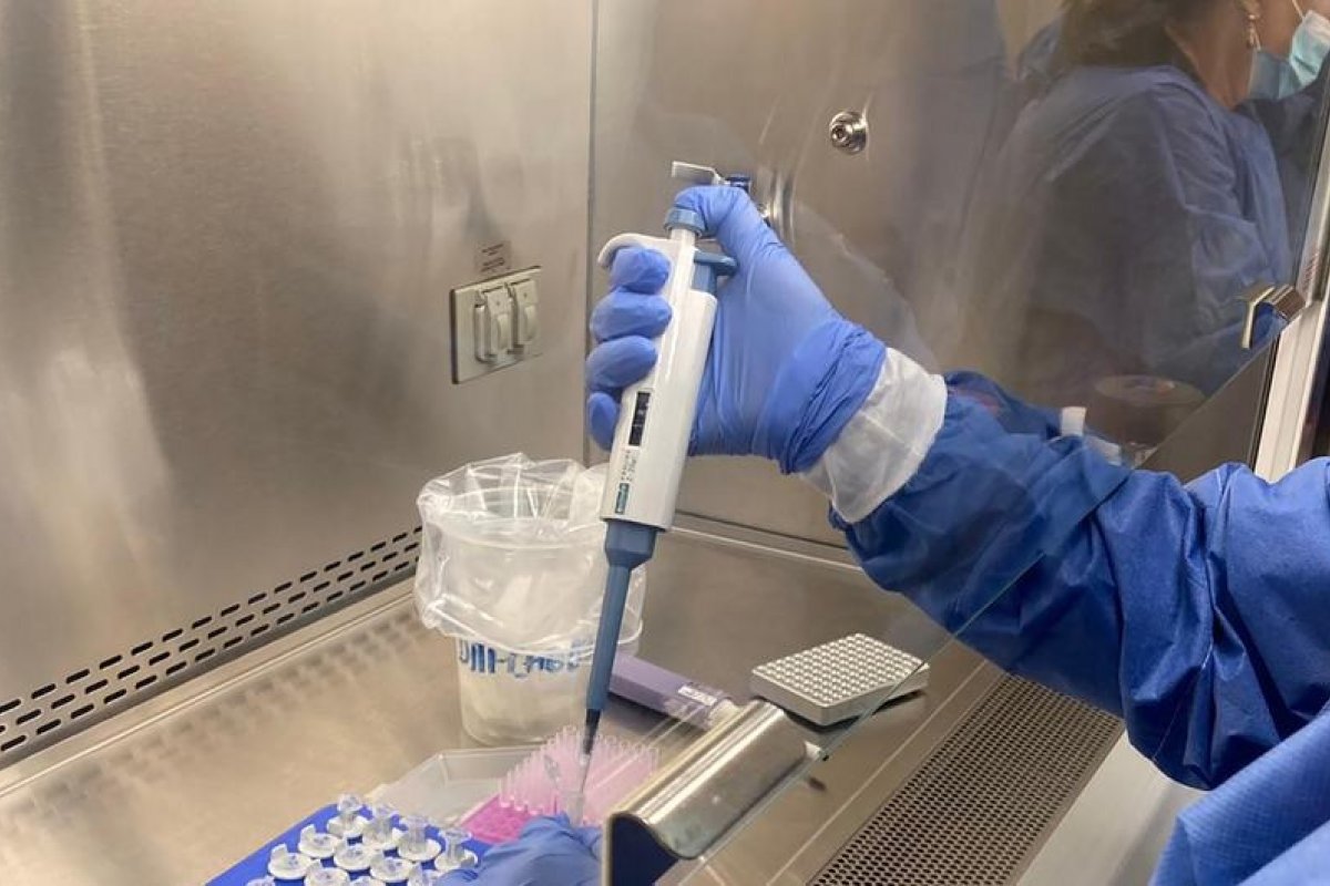 Uma em cada seis pessoas no mundo sofre de infertilidade, diz OMS